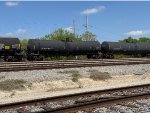 CTCX 207804